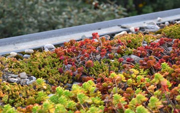 the cost of Perceton green roof installation