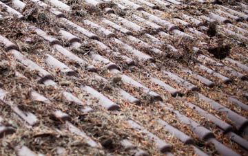 Perceton roof cleaning companies