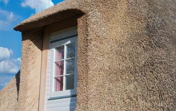 Perceton thatch roof disadvantages