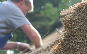 professional Perceton thatchers